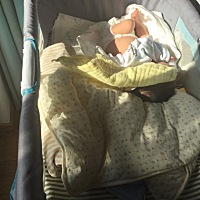 12月20日刨腹产，宝宝3330克，6.66斤。男宝，暂时告别了。现在身体恢复很好，只是奶量不多。求支招😄...