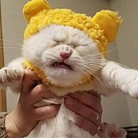 自从怀孕了整个世界都是臭的