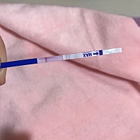 25排卵， 这样是不是白板啊