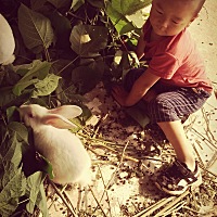 刚才那个不是，这个有道深的还有道隐隐约约有一道浅色的线，是不是准备排卵了，明天我就要走了，今天同...