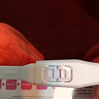 2019.1.2，来自早上的确定，欢迎到来，请多关照。