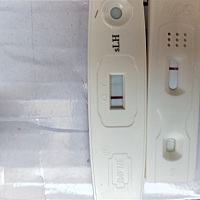 一点点印的是排卵试纸，早孕大白版，22号排卵的，还有两天姨妈，是不是没希望了