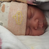 提前了11天出生了，2018年 最后一天出来跟爸爸妈妈一起迎接2019年