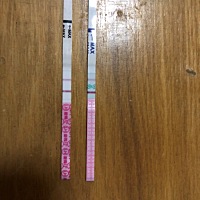 末次12月23，最近在用大卫秀儿同监测排卵，但是大卫和秀儿结果好像不是很一样，最近继续监测中。希望姐...
