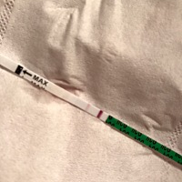 2018.12.31晚，21点测试结果，两条杠，以为自己眼花了！看了好久…… 立马又去买了一个试纸，准备用晨尿...