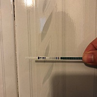 新年第一天，给了我一个大惊喜，准备了几个月，终于等来了我的🐷宝宝