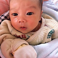 还有六天出月子了来个宝宝图片