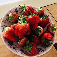 备孕中的我超级喜欢吃草莓🍓有个朋友是空姐，刚生完孩子，找她买了草莓，超级好吃又大又甜，寄到...