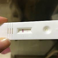 2019年1月3日！测出小队长。新年愿望实现了，真开心。感觉所有的事情都是那么顺其自然！真好