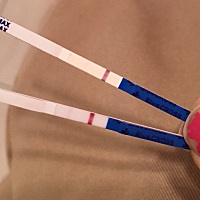 这到底是不是怀孕了呢