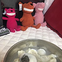 晚上12点必加餐。我儿子出生10天。长了1斤。哈哈哈 母乳喂养需要消耗大量能量。奶水充足、宝宝老是呛奶...