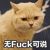 健身来大姨妈 真烦 真痛