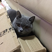 刚怀孕有一个多月，吃什么吐什……特别难受