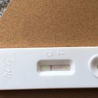 12月6日来的月经，每次提前，今天买了一个试纸查看了一下，不知道是不是怀了