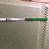 今天用排卵试纸测的，两道杠很浓，但是算日子预测后天才是排卵日，今晚适合受孕吗？连续三天受孕质量好...