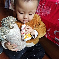 带宝贝体验种蘑菇 一周了，小蘑菇长大了