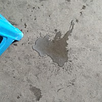 孩子两岁多了  尿的尿为什么发白  有谁知道吗？