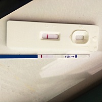 有12月10日来姨妈，已经测出怀孕了的吗？这是我今天测的，还是挺隐约的，不知道会不会是诈胡、准备明天...