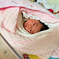 明明生了个🐶宝宝，为啥那么像佩奇…吃了睡睡了吃