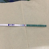这是怀了吗？