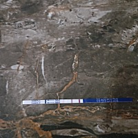 姐姐帮忙看下这是真的吗？