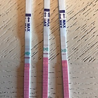 备孕中，我是12号来月经，24号开始排卵，排卵之后2-3天胸部就开始特别痛 ，涨痛，奶头也变大一点，到现...