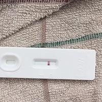 12月10大姨妈，今天测白板，也没有乳胀，尿频啥的，这个月失败，呵呵，无奈的笑