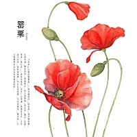 你们都说婆婆不好，我想说的是我自己的亲妈我亲爱的妈妈曾经！ 之前生大女儿宝的时候妈妈也来照顾我...