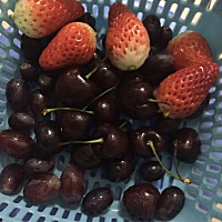 这待遇不错哟！