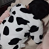 求关注，