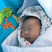 图一图二出生当天，后三张是出生第三天。剖宫产前三天太难熬，现在才下奶，孩子吸的奶头钻心的疼，我家...