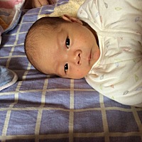 发现母乳喂养真的瘦的很快，宝宝九天时还有6斤瘦到孕前，宝宝黄疸高母乳停了三天又加上婆婆气的奶水都很...