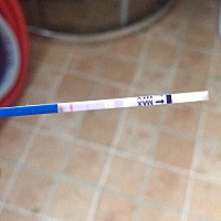 每个月3号准时来姨妈 这个月没来 上个月备的孕