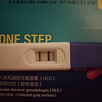 今天去医院检查了，时间太短没照B超，查了血一切都好，一切都好