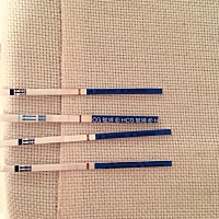 魔怔了，总是梦到在测这个纸条条，也去过医院了，医生说再等十天就确定了，我总害怕没怀，前天测的就跟...