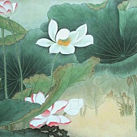 女人内分泌失调的“四宗罪” 　　我们常常听说荷尔蒙，女性荷尔蒙等等对我们身体的影响至关重要，守护荷...