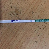 帮我看看有没有？急。推迟三天了。