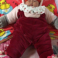 宝宝五个月了，现在生活习惯很有规律。白天9点睡到12点，2点睡到4点，6点半睡到8点起来做人生大事，接着...