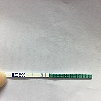 这个是怀孕了还是没怀上？超级浅