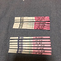 排卵试纸测了这么久 秀儿 大卫一起测的 一直没有遇到强阳啊  感觉都是弱阳😂😂😂都快分不清到底哪...