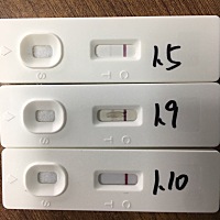 无语了，今天居然是大白板，什么情况这是？？？