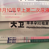 大家帮我看一看是不是怀孕了，今天早上测的，不是晨尿，分别用排卵试纸和早孕试纸测的。应该是怀了吧，...