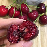 怀孕18周➕1天，去做B超说是百分之95是男宝，不知道真的假的，之前好几个帮我算都说是女宝，