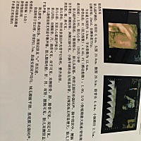 糖耐和四维安全通过。 宝贝棒棒哒👍 也不知道你是男娃还是女娃。 反正做四维的大叔一句话都不跟我讲。