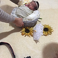 成功卸货女宝7斤2两，7天大拍的，