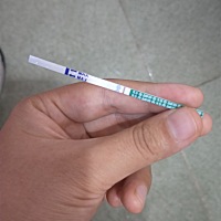 上个月11号来的姨妈，还是白板，有没有一样的姨妈期测出来的宝妈