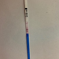 谁知道这是什么意思