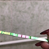 嘻嘻😜猪宝宝来了