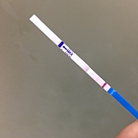 元旦刚结婚，还准备年后出去玩的，所以这是有还是没有？上次姨妈是12月13