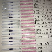 这么认真的备孕，求好运，第二张最后一条今天下午拍的，各位大神我是要到排卵峰值了吗？？？